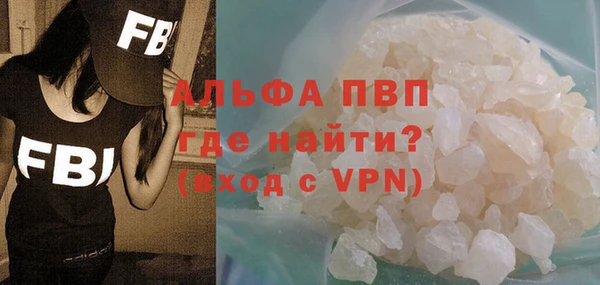 сатива Гусь-Хрустальный