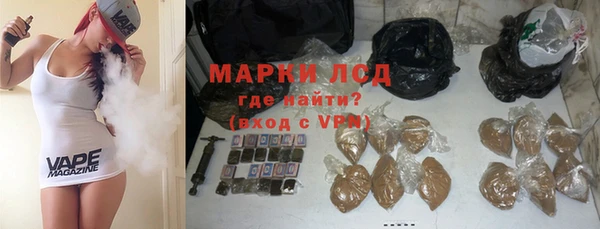 сатива Гусь-Хрустальный