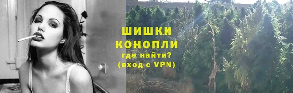 сатива Гусь-Хрустальный