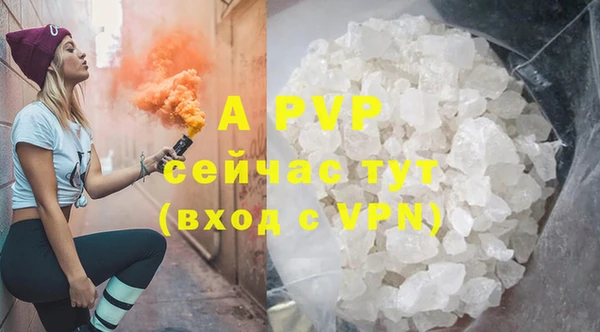 сатива Гусь-Хрустальный